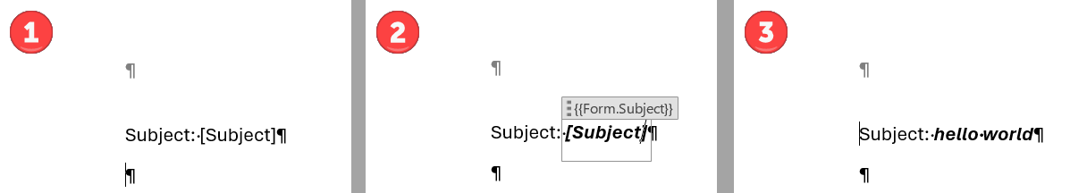 PlaceholderTextFormattingExample2.png