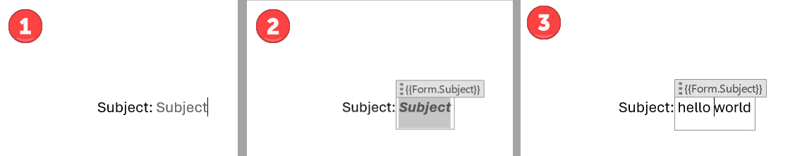 PlaceholderTextFormatting.png