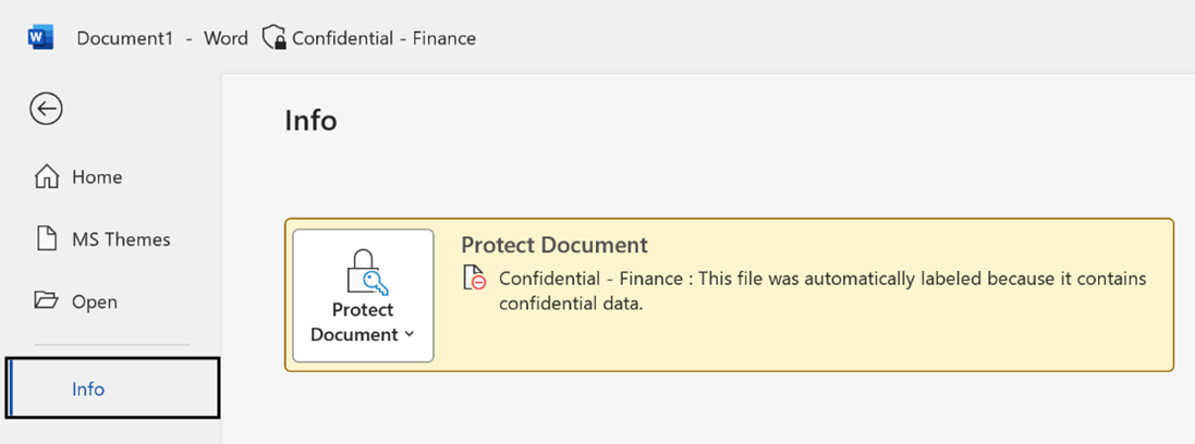 protectdocument.png
